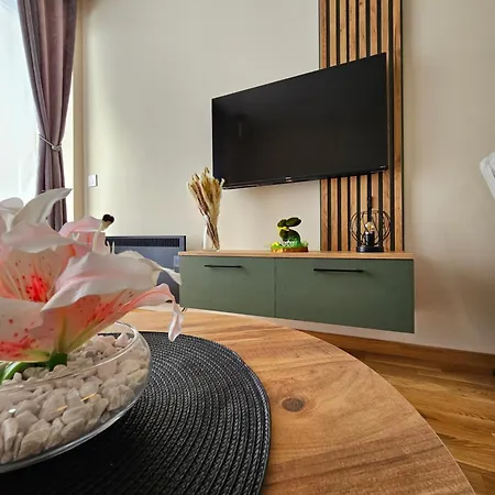 Apartment Vuk *