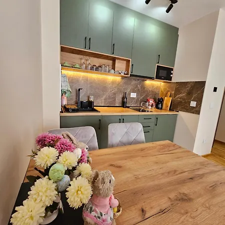 Apartment Vuk